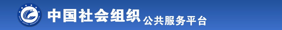 艹逼视频免费网站全国社会组织信息查询